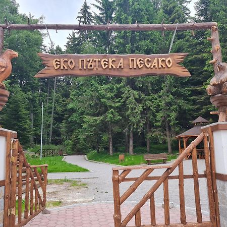 Mountain Paradise In Aparthotel Borovets Gardens Kültér fotó