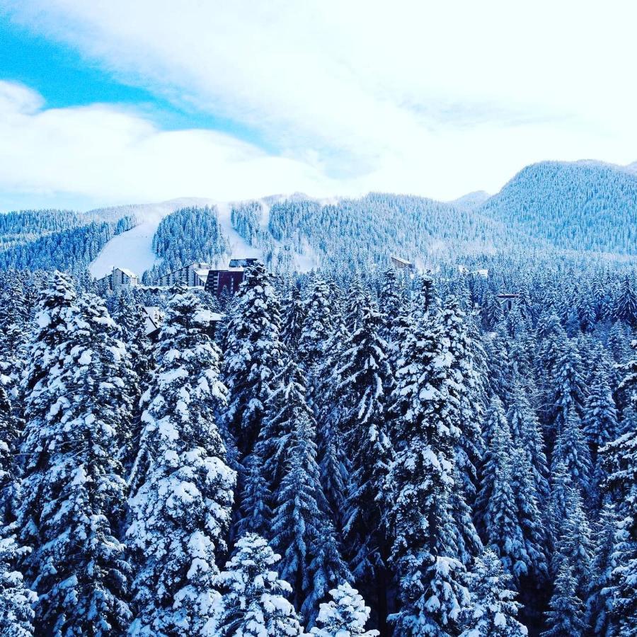 Mountain Paradise In Aparthotel Borovets Gardens Kültér fotó