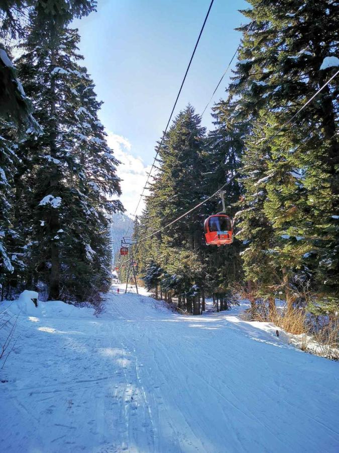 Mountain Paradise In Aparthotel Borovets Gardens Kültér fotó